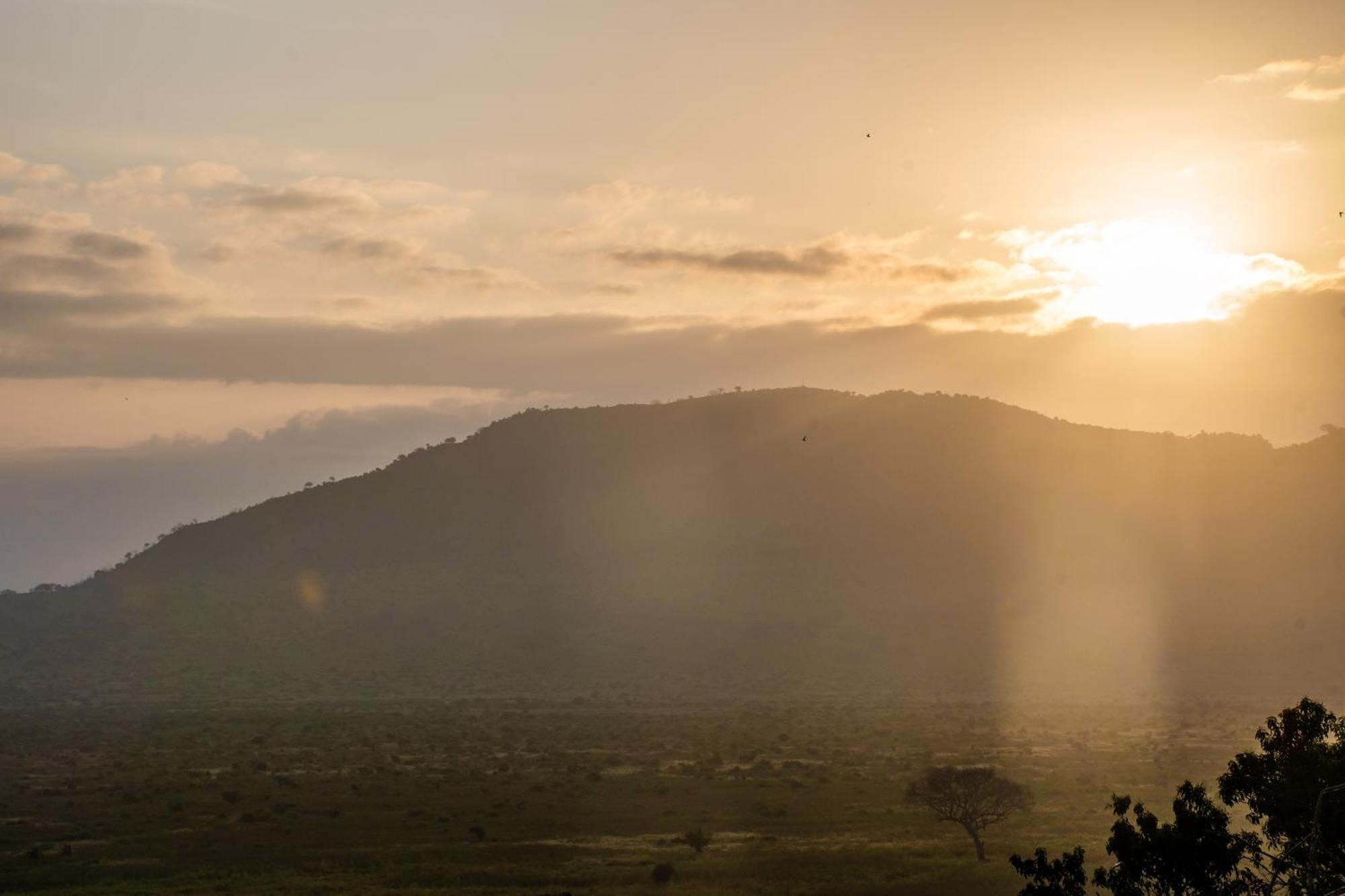 Voi Safari Lodge المظهر الخارجي الصورة