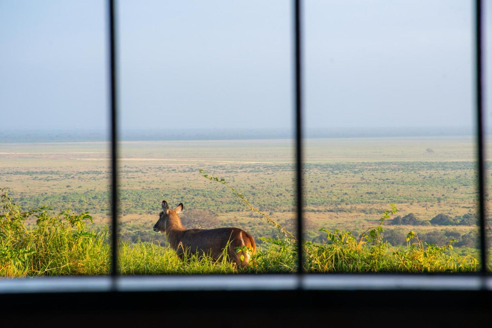 Voi Safari Lodge المظهر الخارجي الصورة