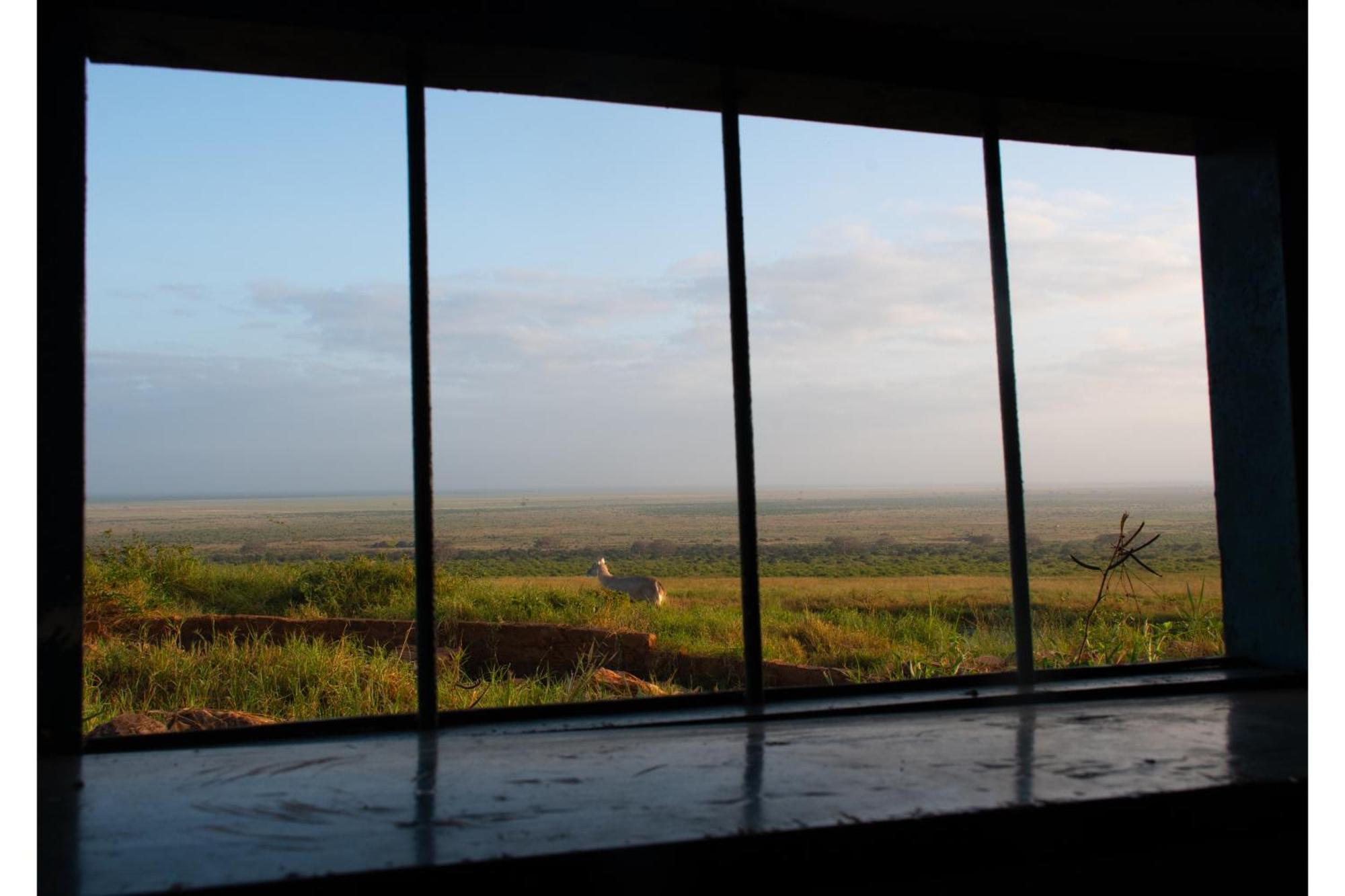 Voi Safari Lodge المظهر الخارجي الصورة